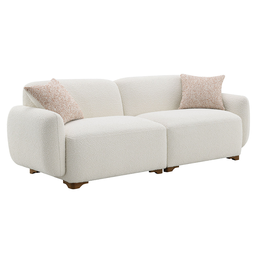 Darius Sofa w/2 Pillows